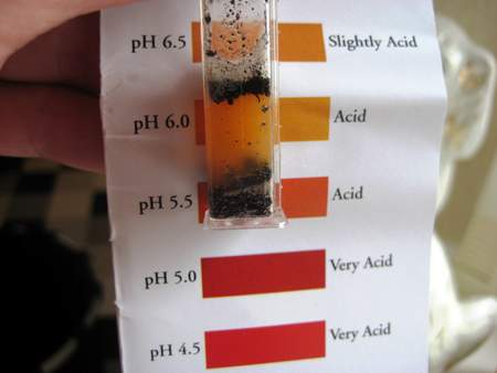 How To Use A Soil pH Test Kit